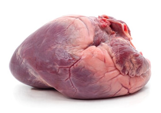 Pork Heart